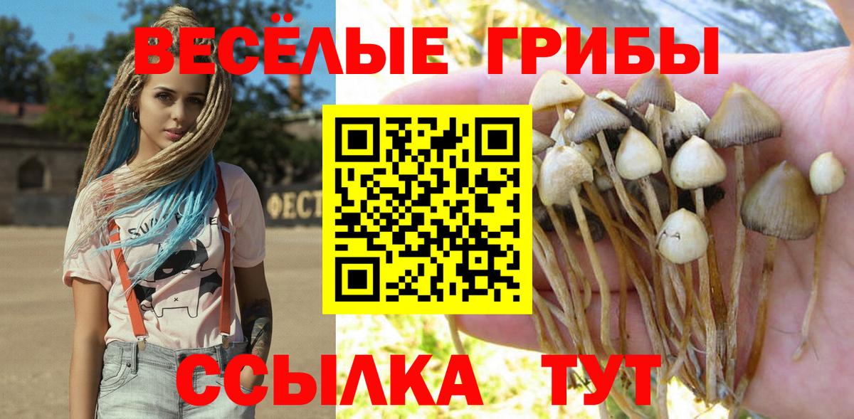 Псилоцибиновые грибы мухоморы Вязники